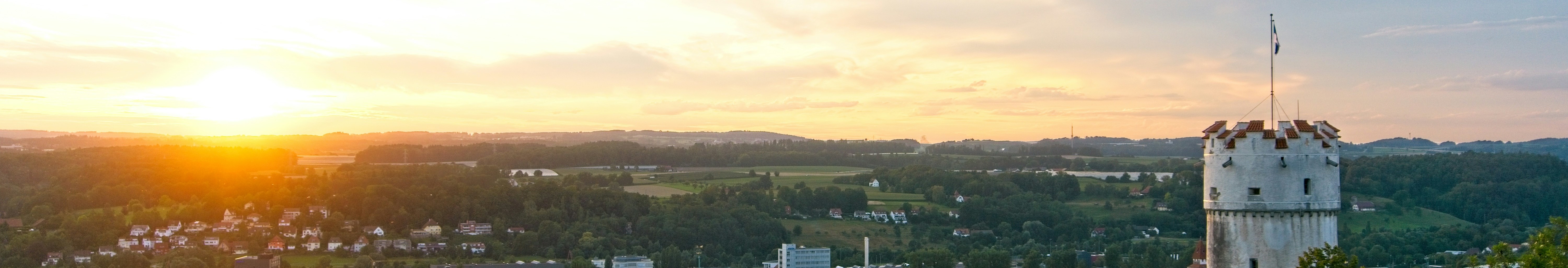 julian-zwengel-cLUUg4Om5HE-unsplash