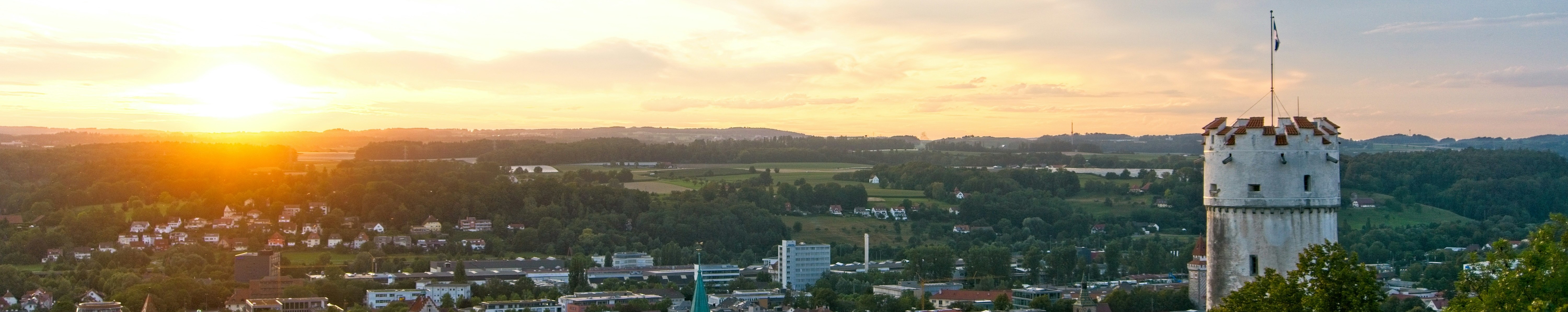 julian-zwengel-cLUUg4Om5HE-unsplash