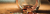 josh-appel-NeTPASr-bmQ-unsplash - Kopie