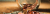 josh-appel-NeTPASr-bmQ-unsplash