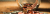 josh-appel-NeTPASr-bmQ-unsplash