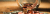 josh-appel-NeTPASr-bmQ-unsplash