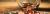 josh-appel-NeTPASr-bmQ-unsplash