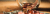 josh-appel-NeTPASr-bmQ-unsplash