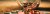 josh-appel-NeTPASr-bmQ-unsplash