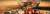 josh-appel-NeTPASr-bmQ-unsplash