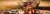 josh-appel-NeTPASr-bmQ-unsplash