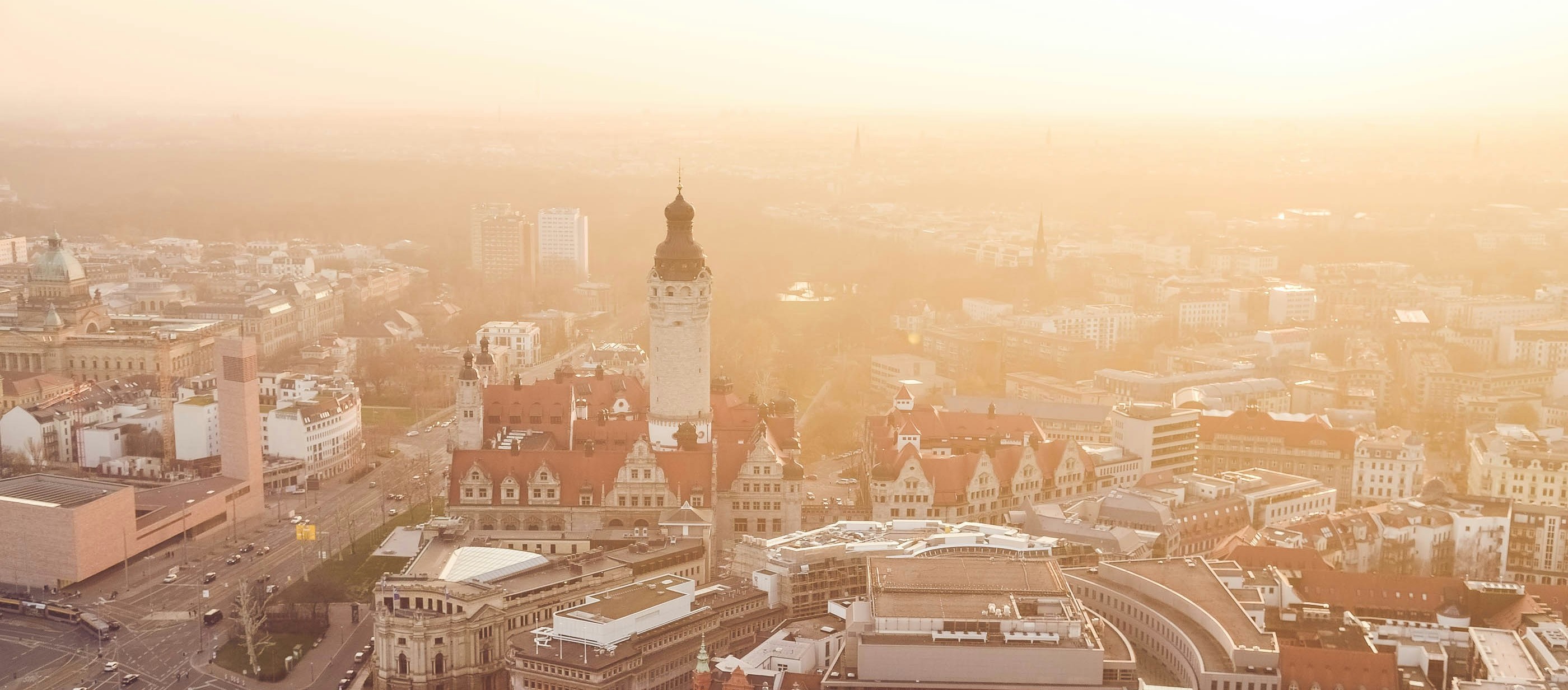 kiwihug-YR_r_lrfATc-unsplash