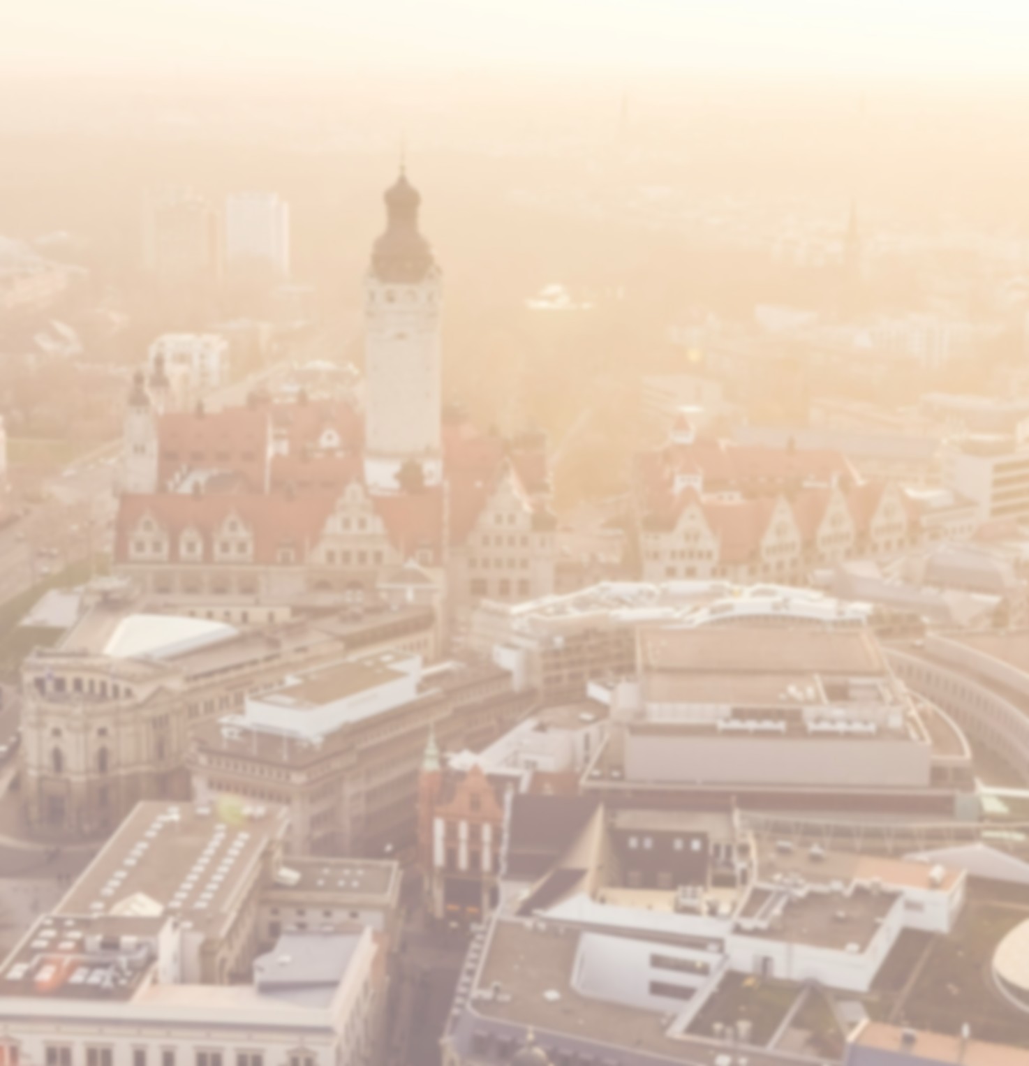 kiwihug-YR_r_lrfATc-unsplash