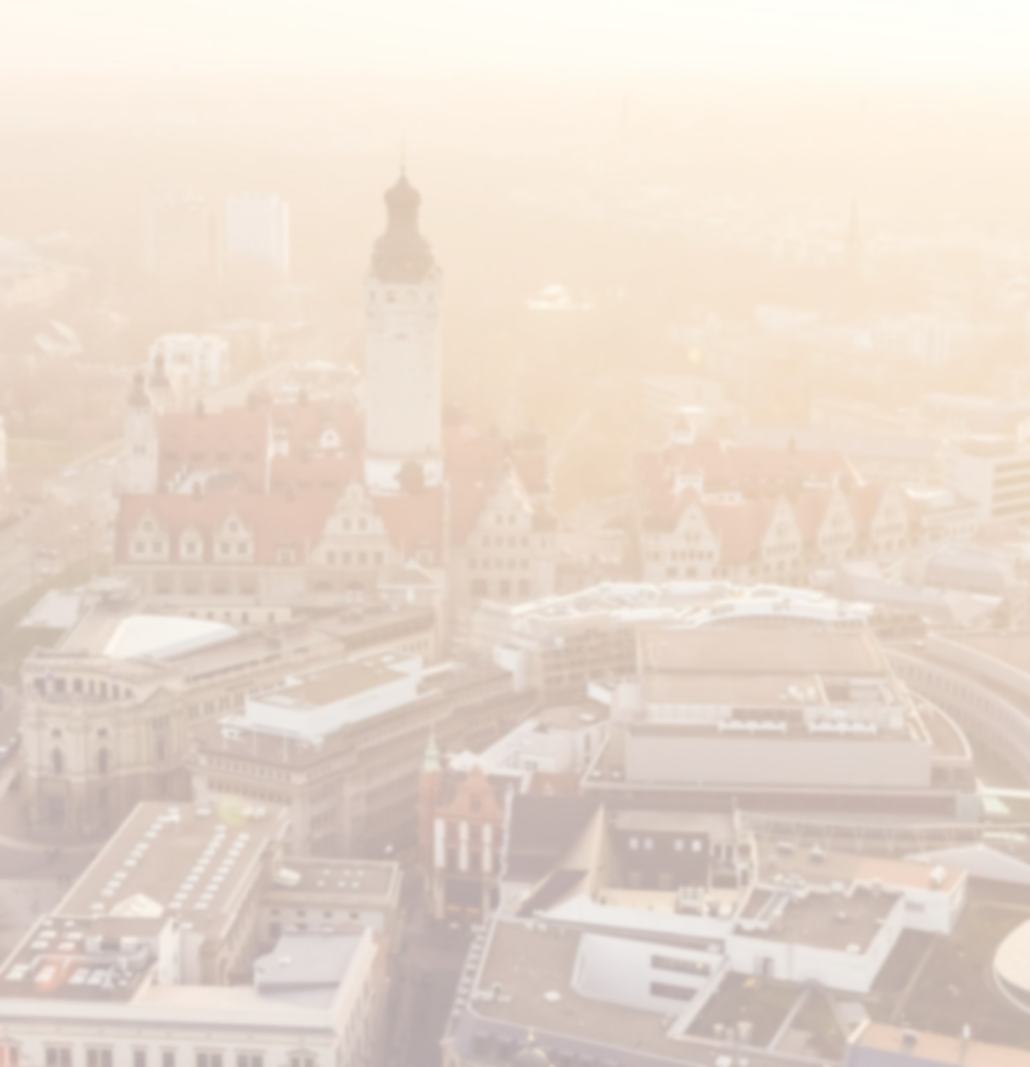 kiwihug-YR_r_lrfATc-unsplash