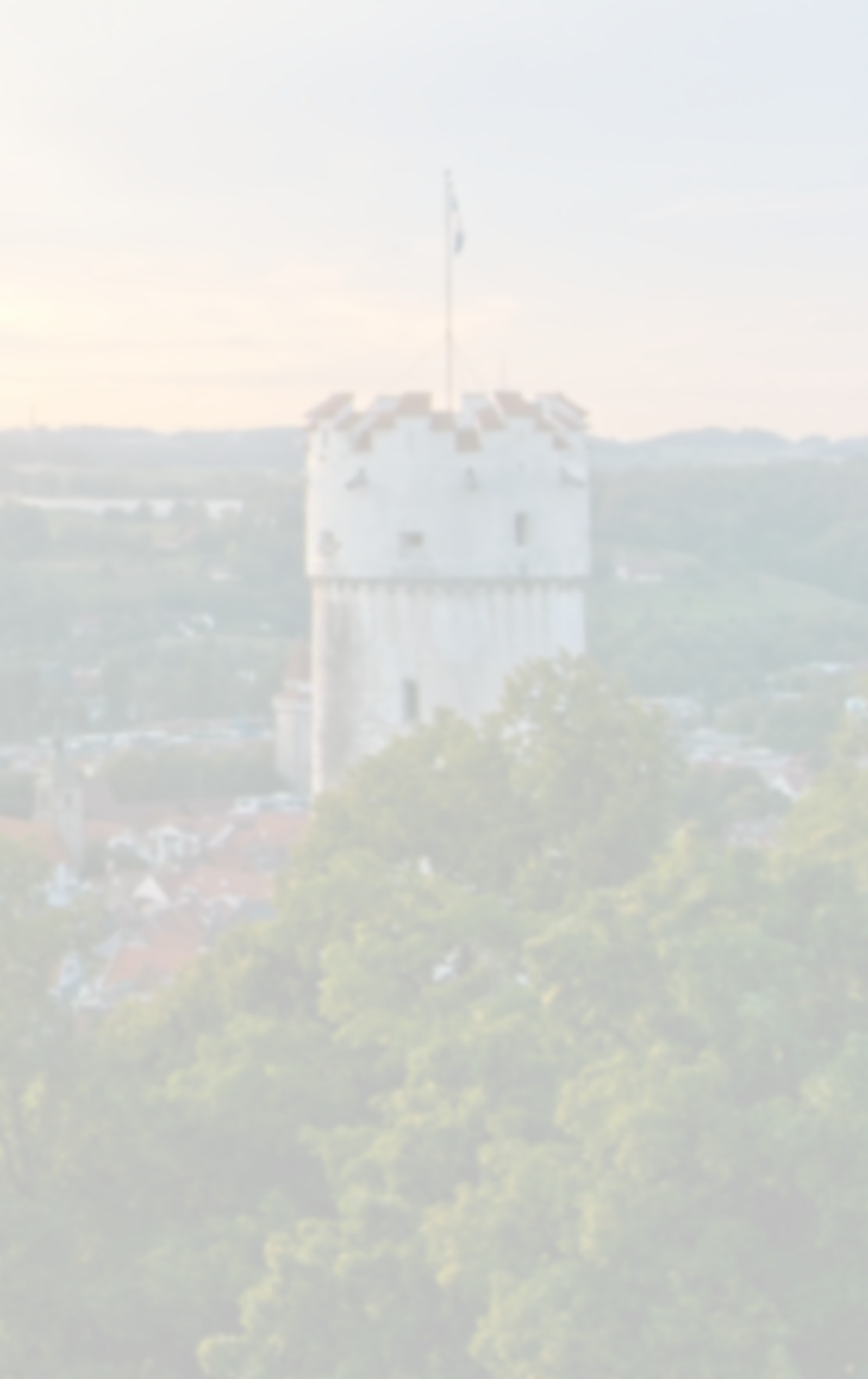 julian-zwengel-cLUUg4Om5HE-unsplash