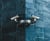 florian-olivo-p9f6sjMglRE-unsplash