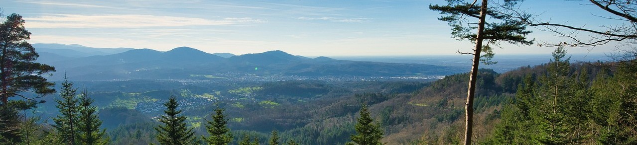 black-forest-7704127_1280