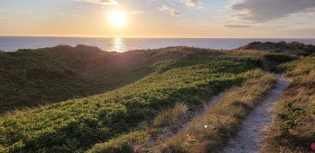 signal-2025-09-25-08-52-21-395-1