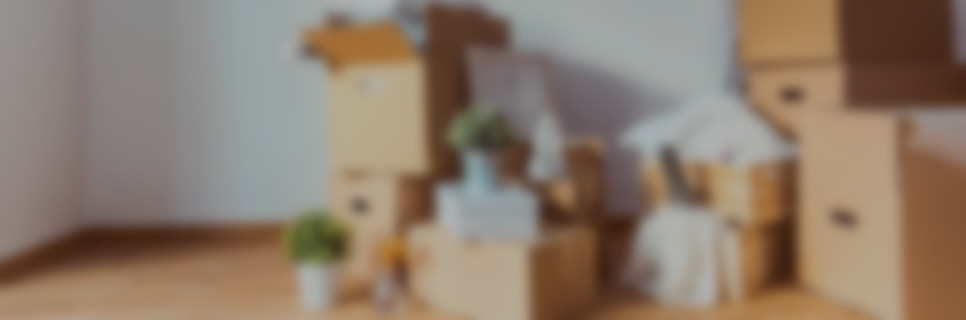 umzug kartons wohnung
