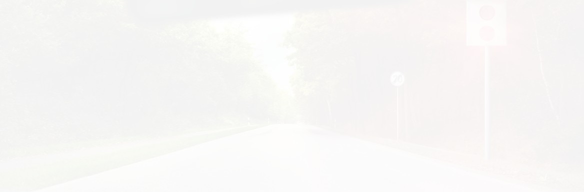 Auto Blitzer