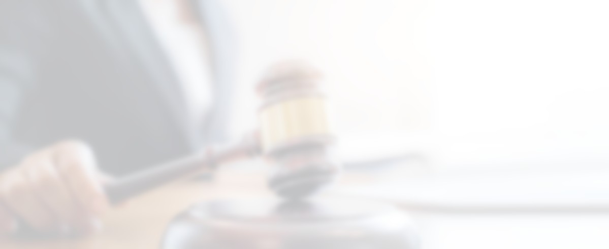 imgi_13_AdobeStock_288819769