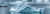 kpn_legal_br