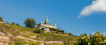 radebeul-1665590_1280