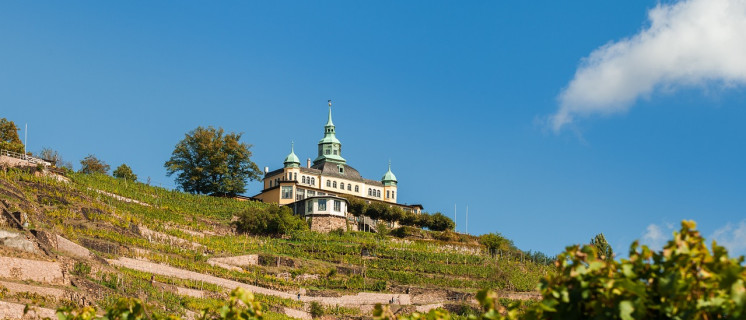 radebeul-1665590_1280