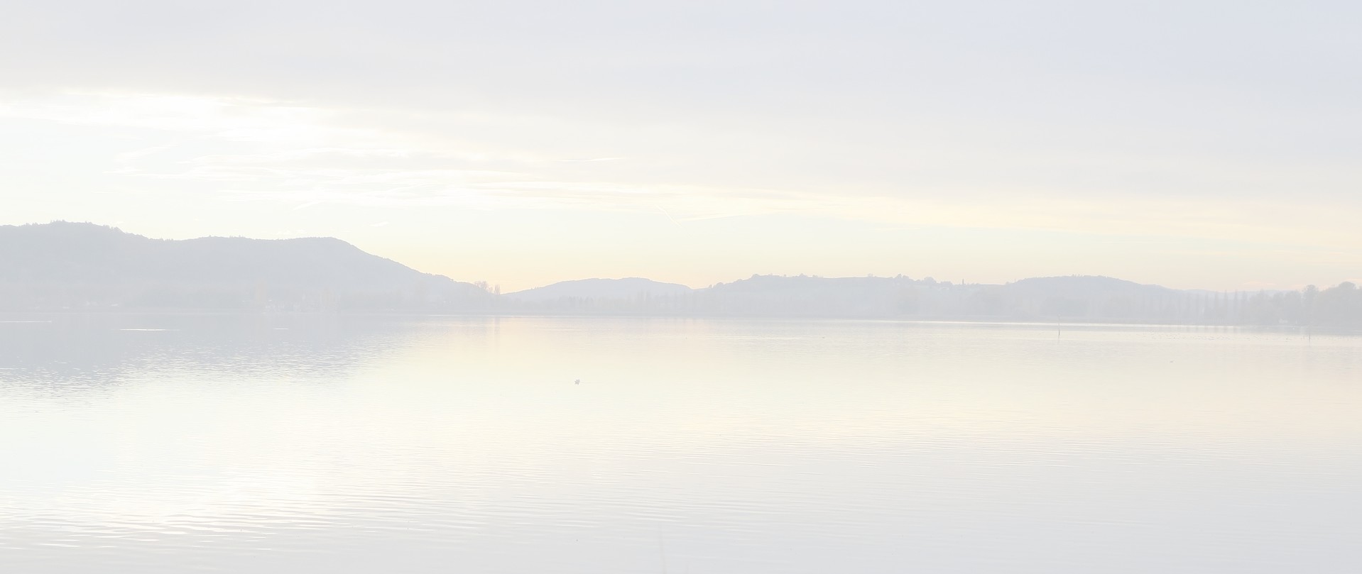 shores-of-lake-constance-gaea47e772_1920