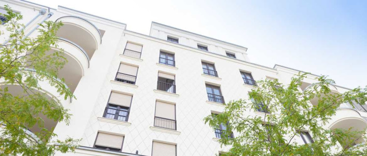miete wohnung haus