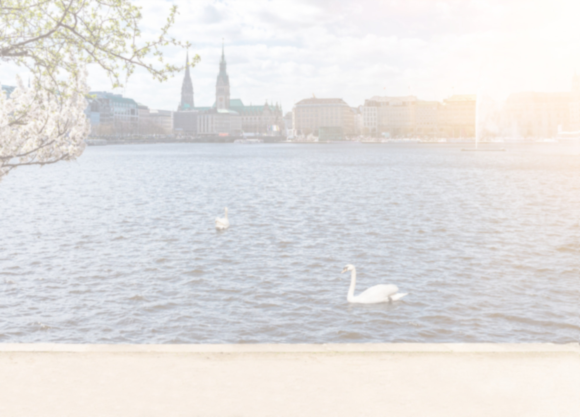Header-Alster-Unterseiten-1-e1581515418895