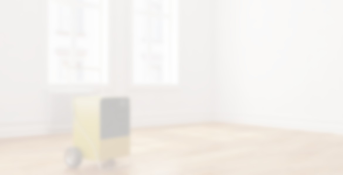 bautrockner wasser schaden