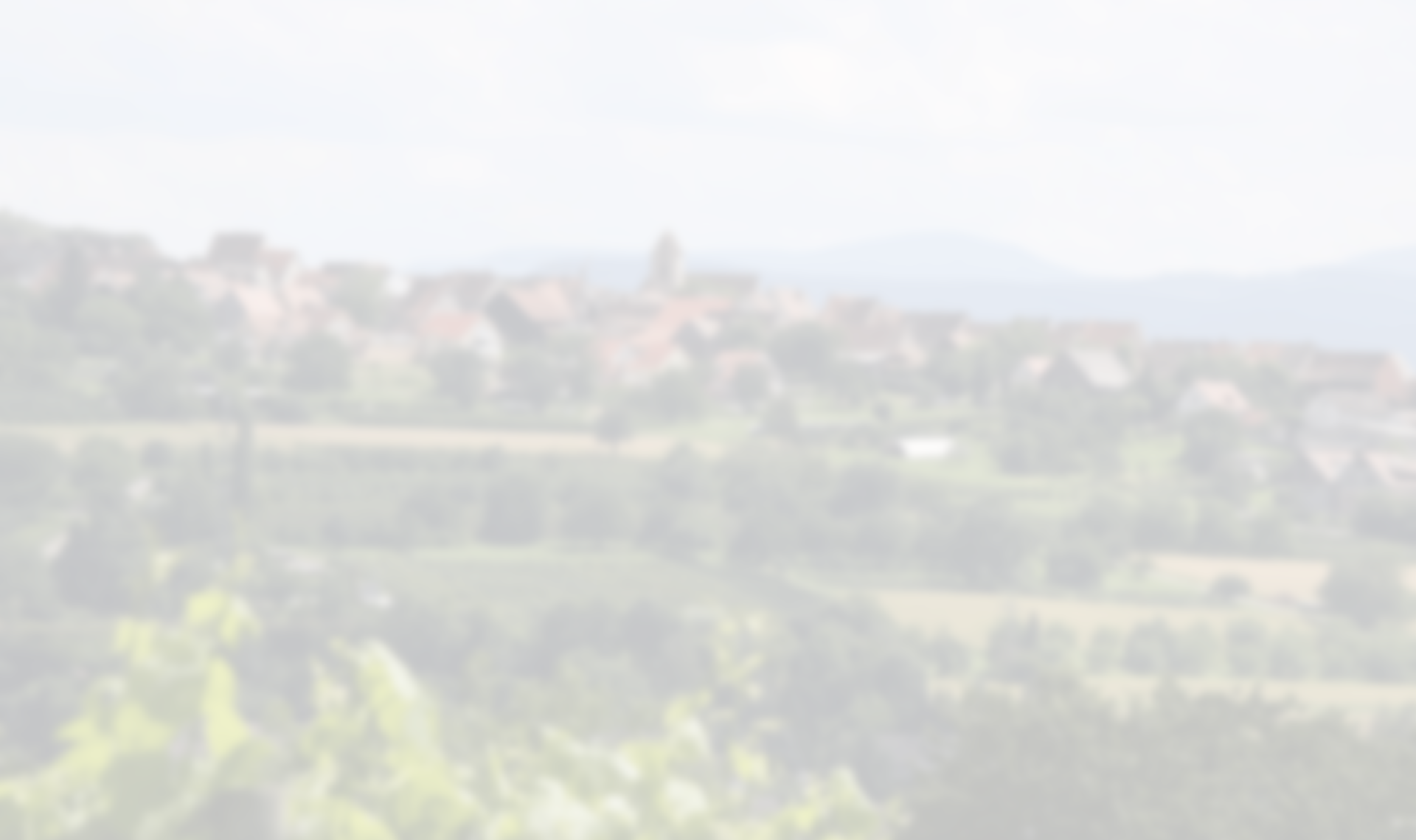 imgi_19_xlg