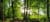 imgi_15_naturbestattungen-recklinghausen