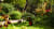 Garten Natur Pflanzen Schubkarre