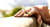 Online-Geschieden-Familienrecht_Neu (3)